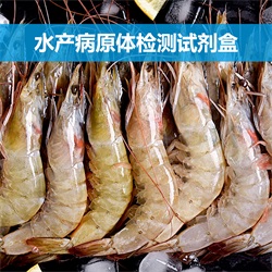 水產核酸檢測試劑盒